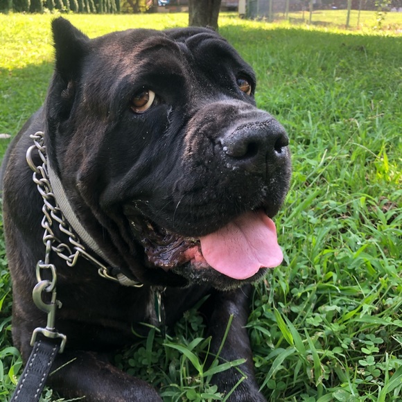 Meet your Posher, Maria - Picture 2 of 2